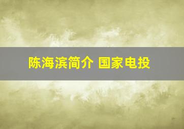 陈海滨简介 国家电投